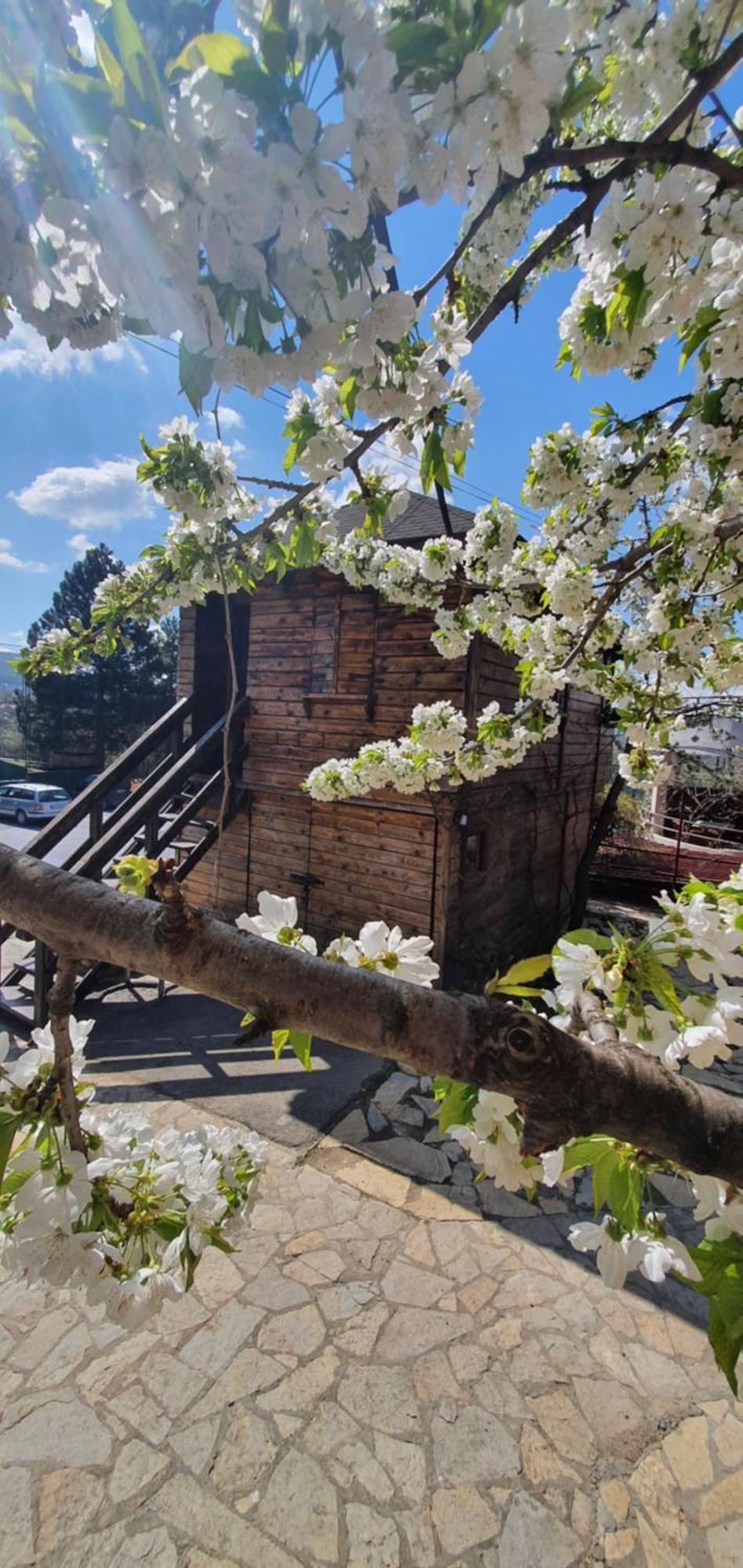 Rooms Green Set Belgrad Exterior foto